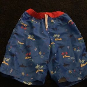 Hanna Andersson Boy Swim Trunks Size 150